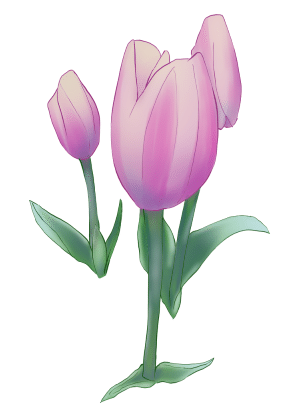 チューリップを描いてみた 絵の練習 星月イルカ Note