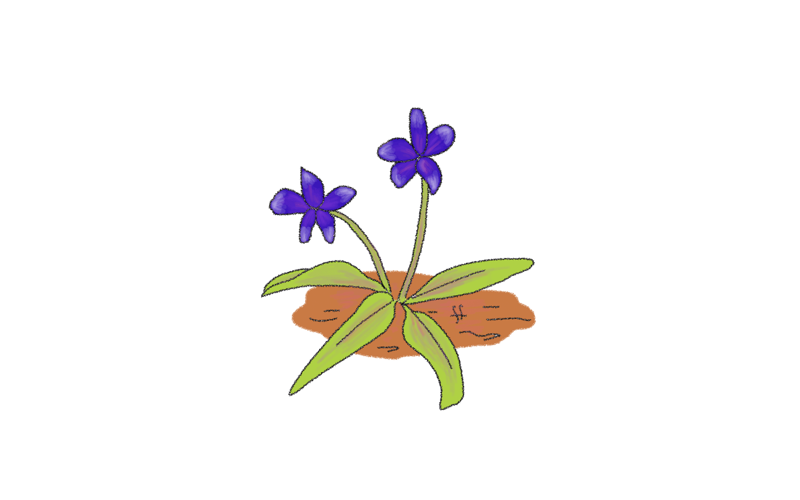 春の草花 むらやまさち イラストレーター Note 春の草花 むらやまさち イラストレーター Note