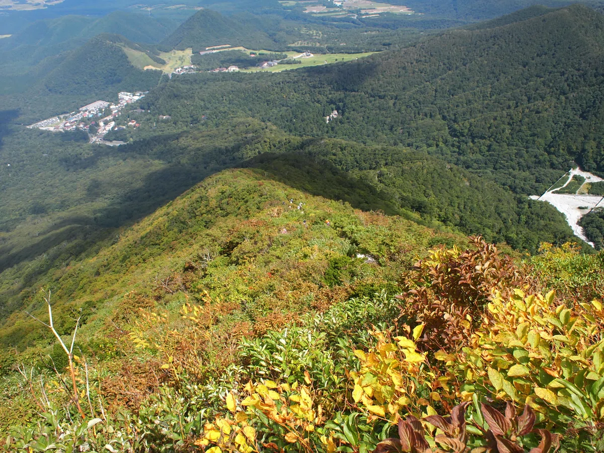 画像
