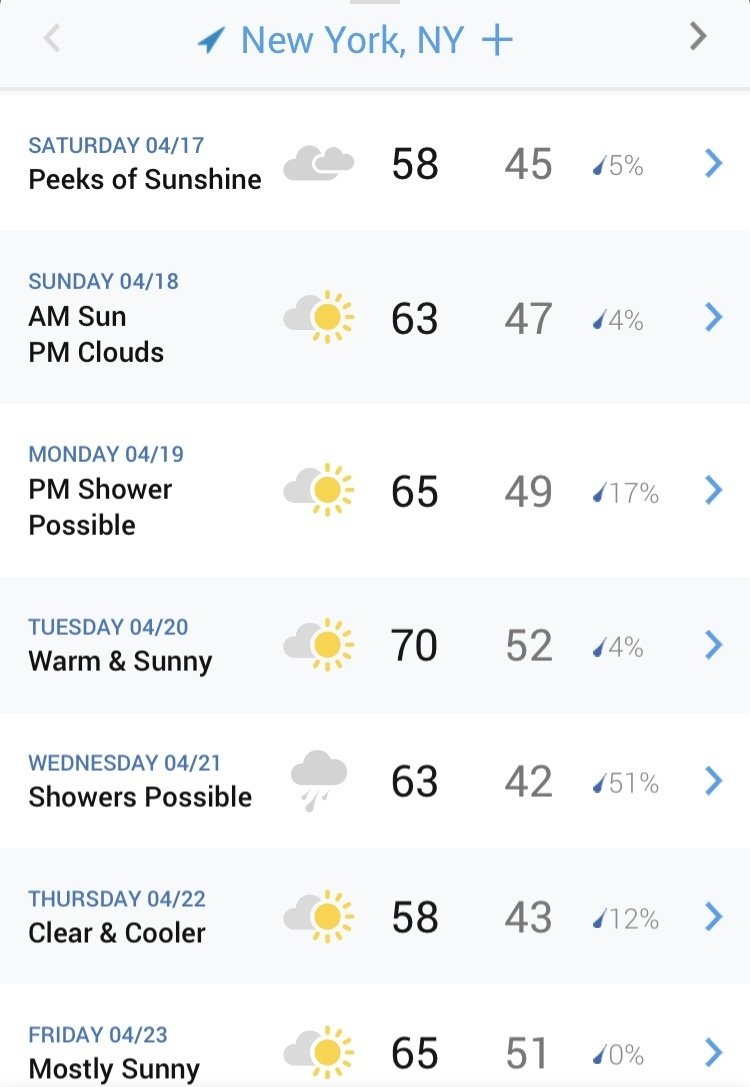 New York の花時雨 New York 雑記帳 Ny のりこ Note