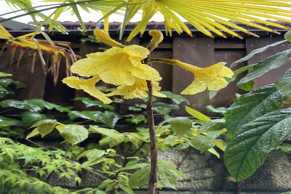 イペー の新着タグ記事一覧 Note つくる つながる とどける