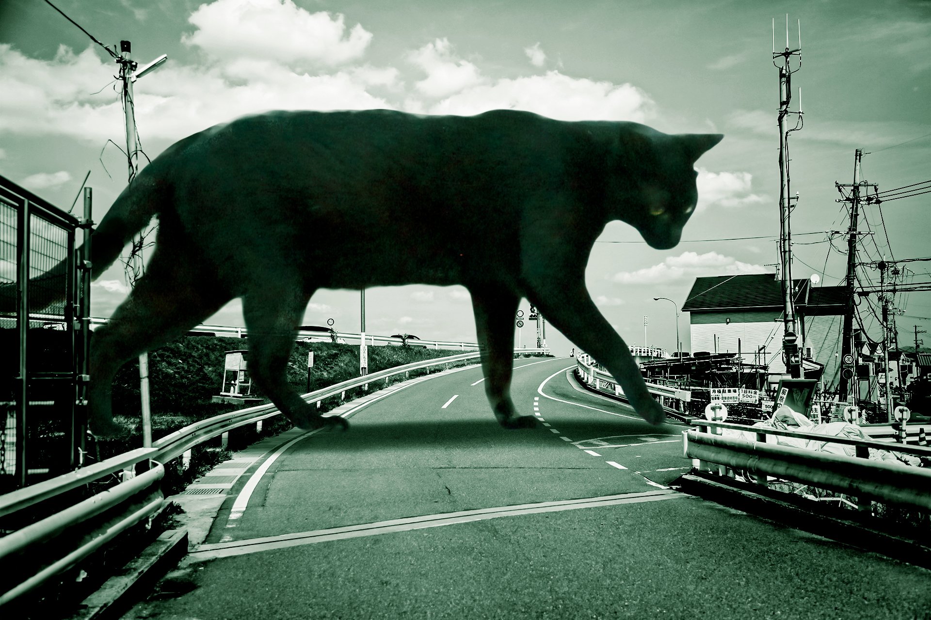白猫の風景画　美術品　海の見える風景 白猫の風景画 美術品 海の見える風景 白猫の風景画 美術品 海の