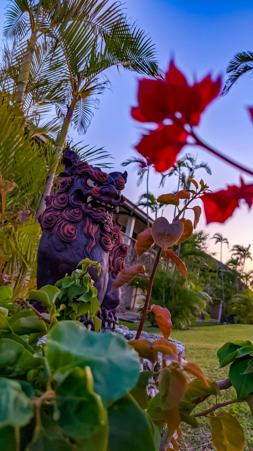 沖縄石垣島 うりずんの季節 夜 21 Oage Note 沖縄石垣島 うりずんの季節 夜 21 Oage Note