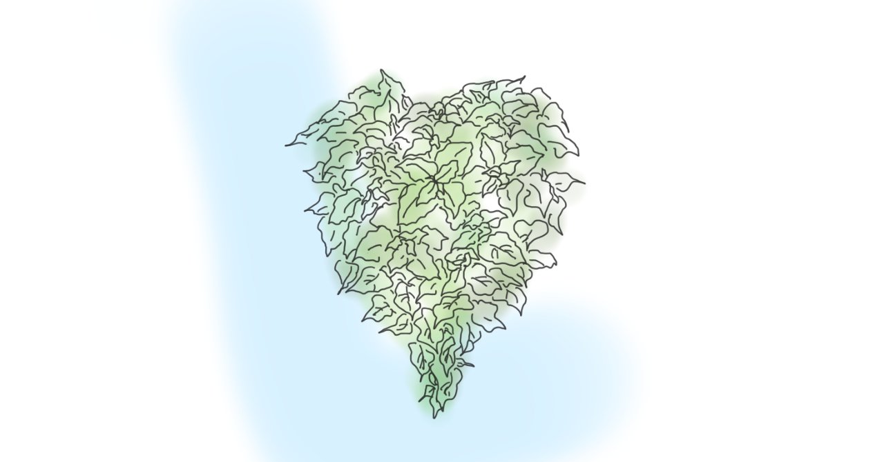 レモンバームのイラスト 写真 笹いと Note レモンバームのイラスト 写真 笹いと Note