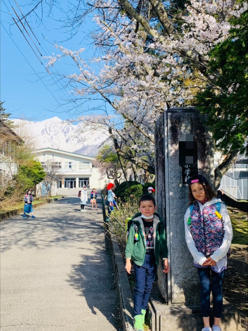 弟も今春から小学生になり、小4の姉と一緒に登校を。校門の桜もついに満開に。今日は北アルプスもくっきり。