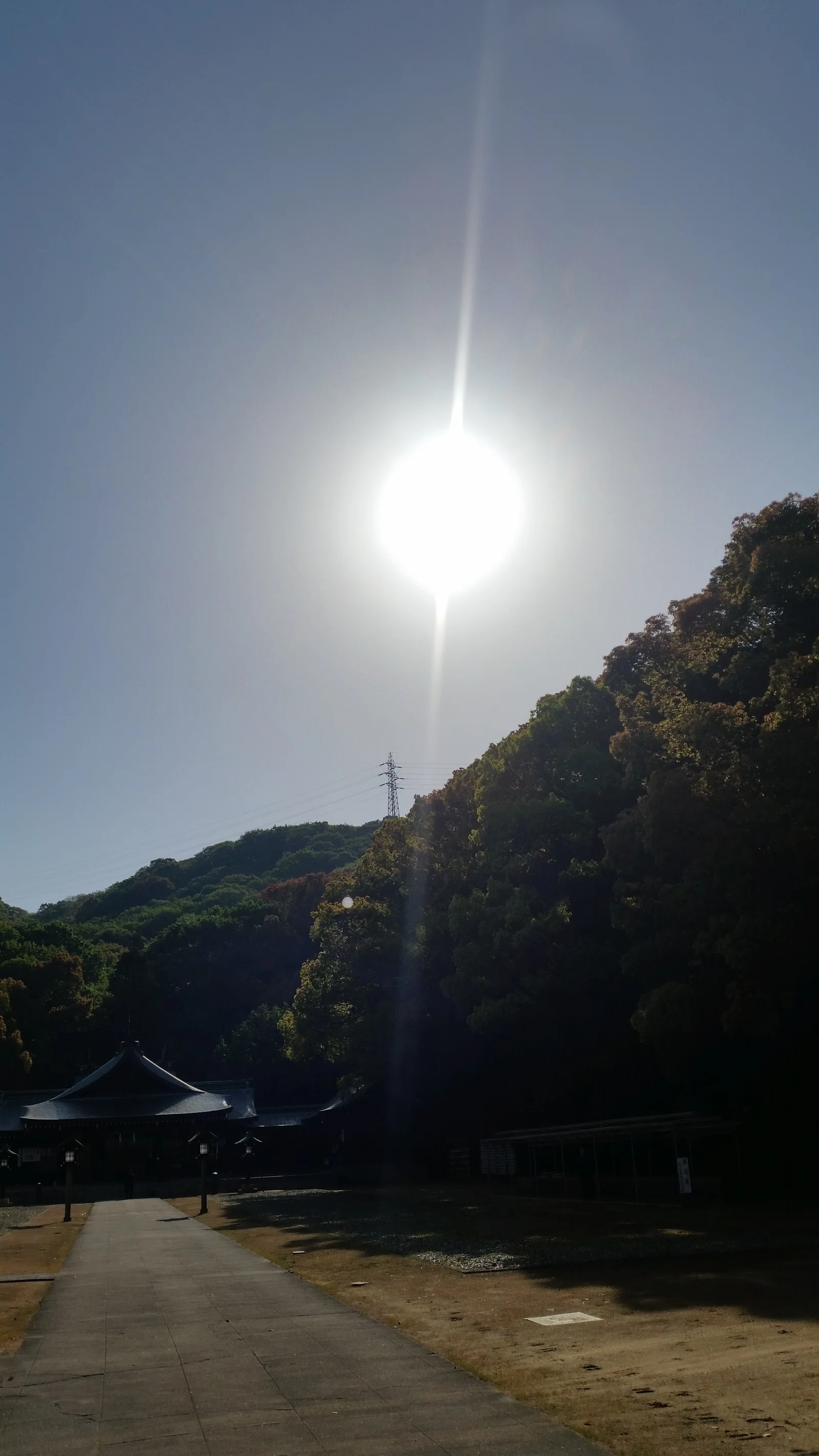眩い光の元で|yoririn
