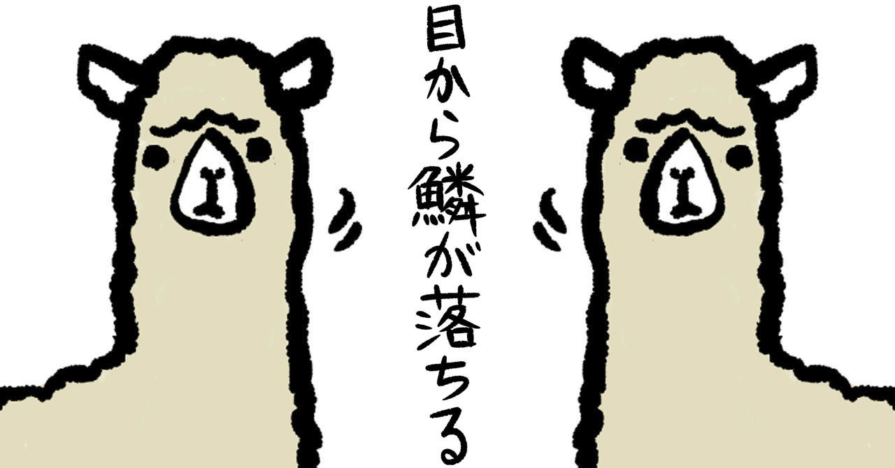 Jvp0nekk9sde6m