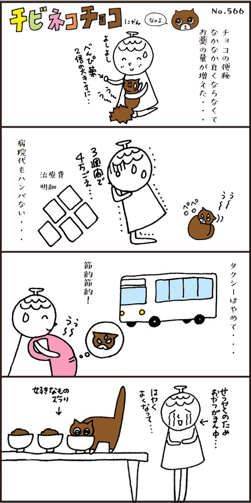 高額猫🐈医療費に節約生活😭|まつぼっくり|note