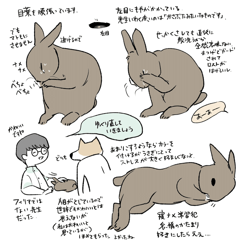 うさぎイラスト の新着タグ記事一覧 Note つくる つながる とどける