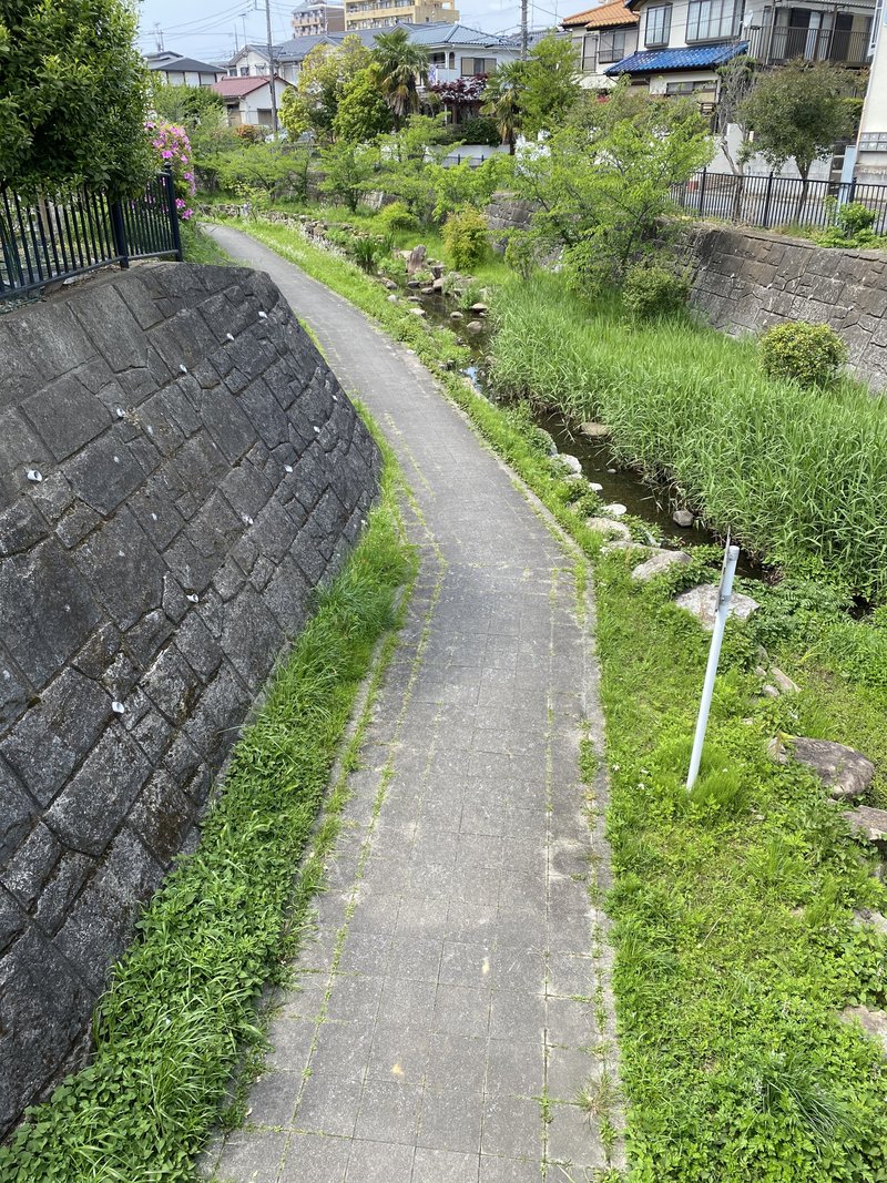 小川の遊歩道。