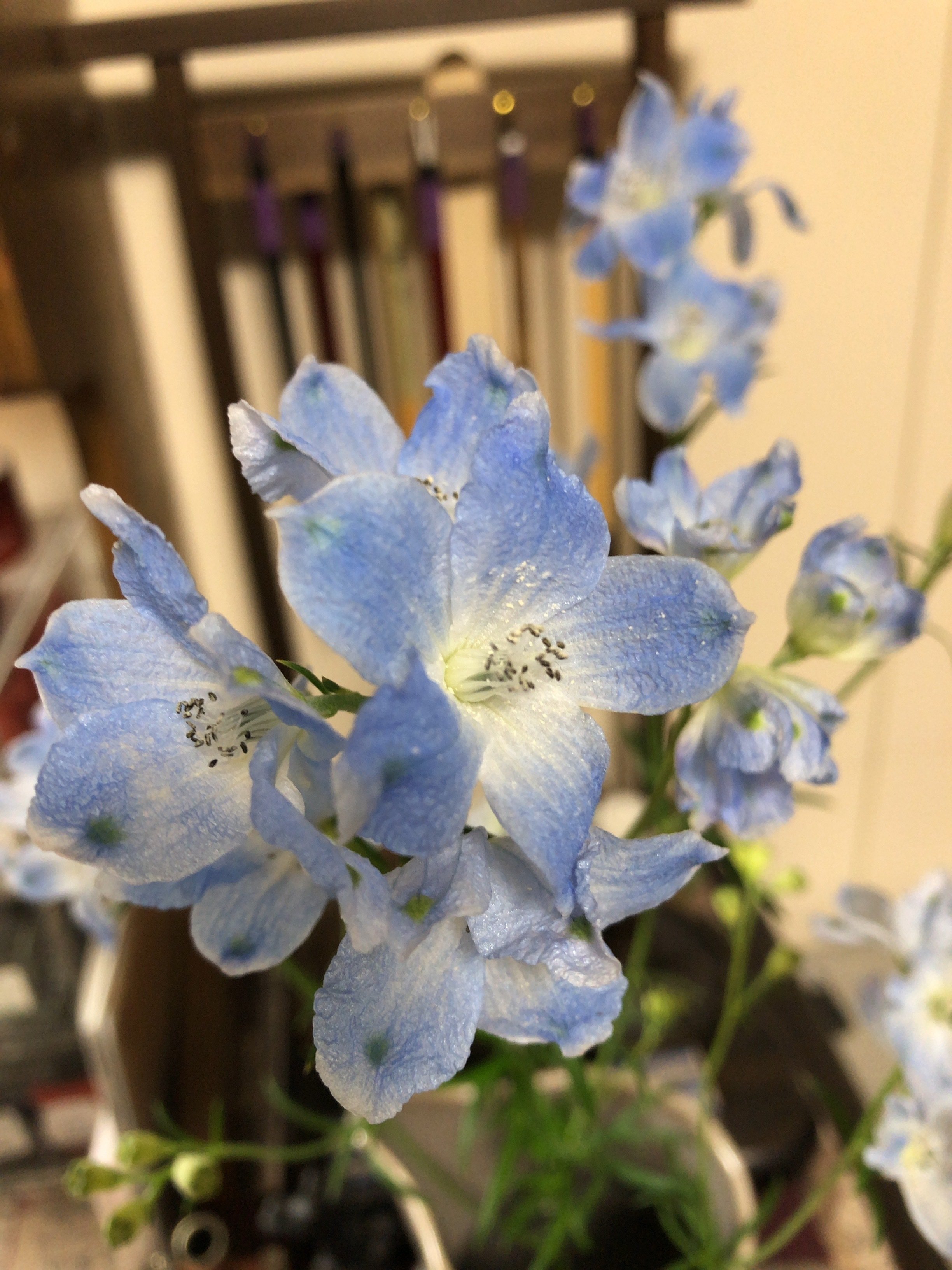 机上を彩る花 デルフィニウム プラチナブルー 紫風日記 月影紫風 つきかげ しふう Note 机上を彩る花 デルフィニウム プラチナブルー 紫風日記 月影紫風 つきかげ しふう Note