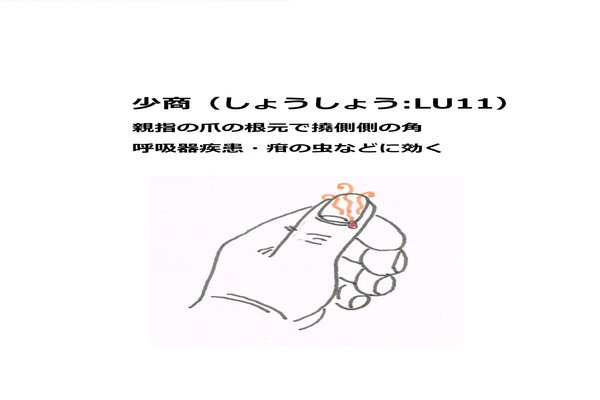 呼吸器疾患 の新着タグ記事一覧 Note つくる つながる とどける