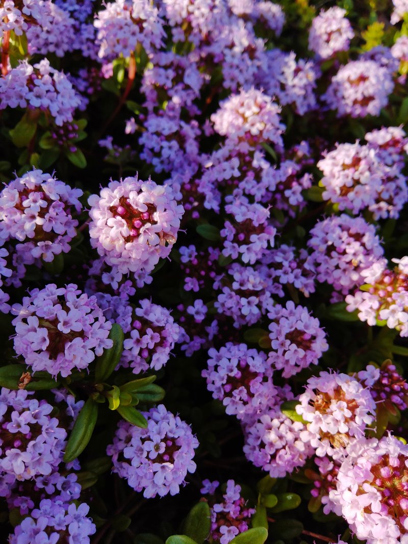 グリーピングタイム の新着タグ記事一覧 Note つくる つながる とどける