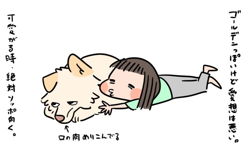 我が家の犬の話 たこぺちゃ Note