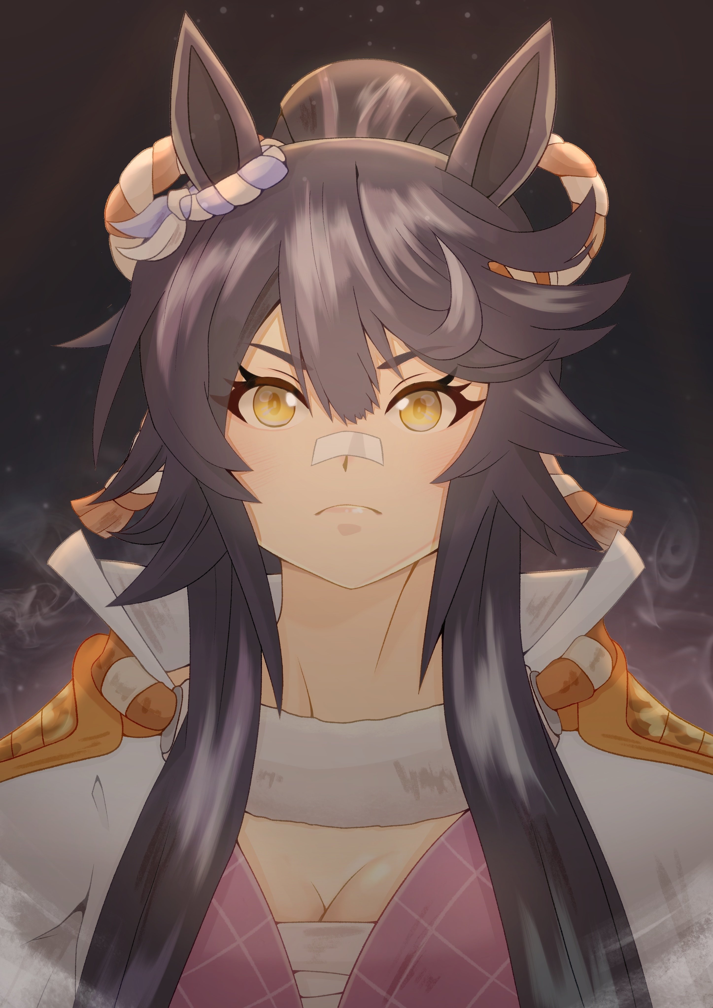 手描きイラスト ウマ娘プリティーダービー ナリタブライアン