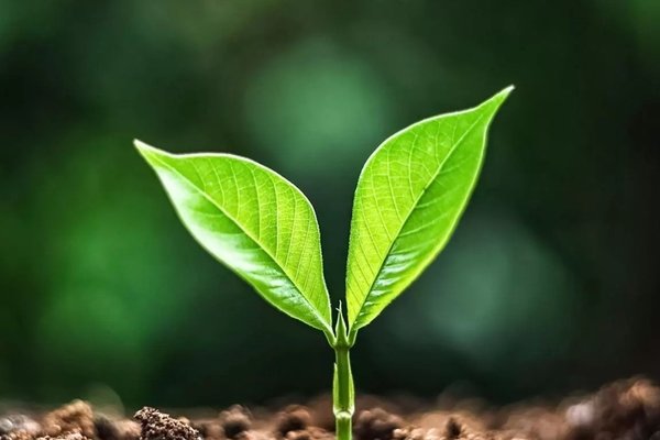 新しい生命の息吹 の新着タグ記事一覧 Note つくる つながる とどける 新しい生命の息吹 の新着タグ記事一覧 Note つくる つながる とどける