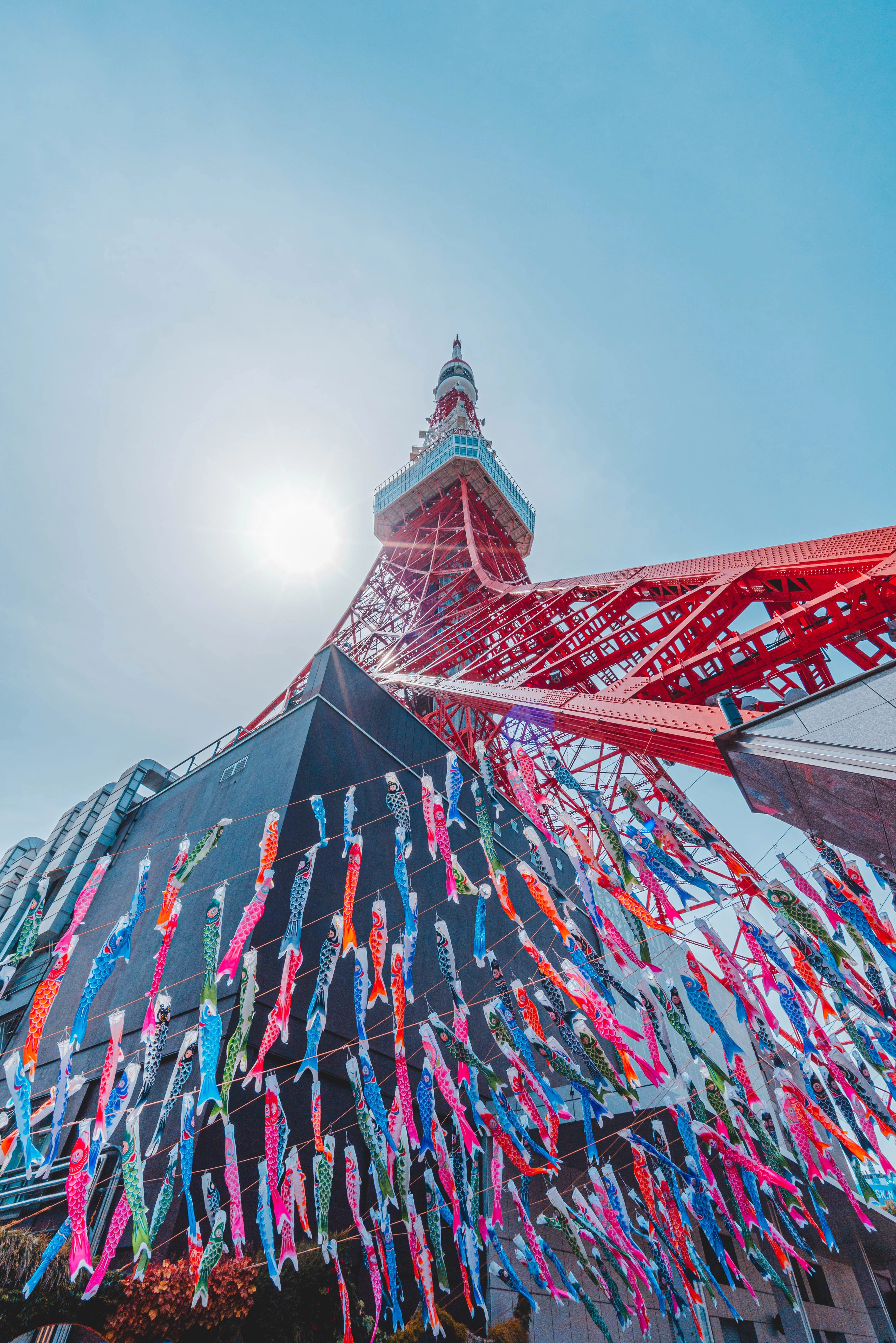 東京タワーを泳ぐ鯉のぼり｜O太郎│urban photographer