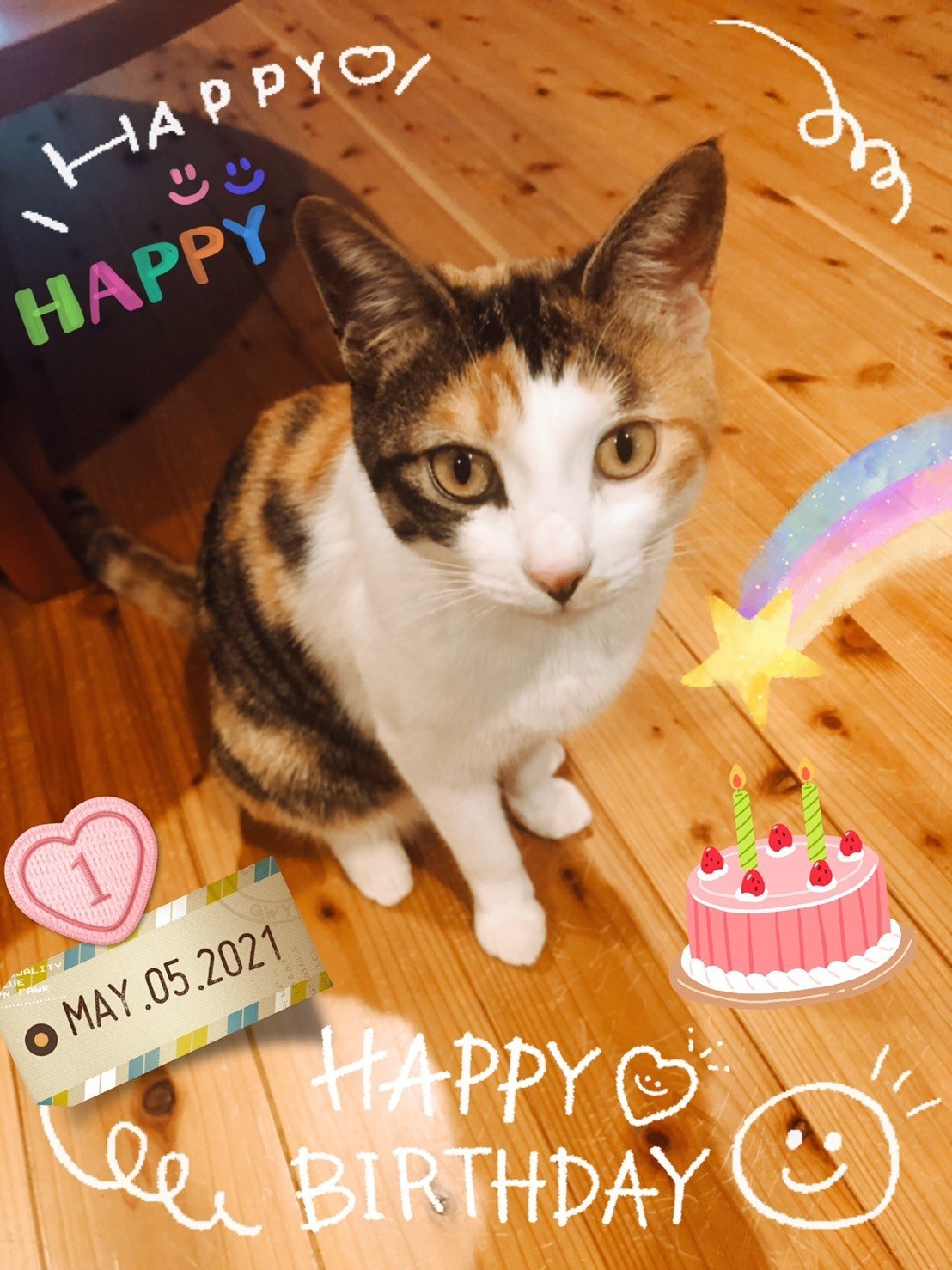 ハッピーバースデー猫ちゃん シンハ Note ハッピーバースデー猫ちゃん シンハ Note