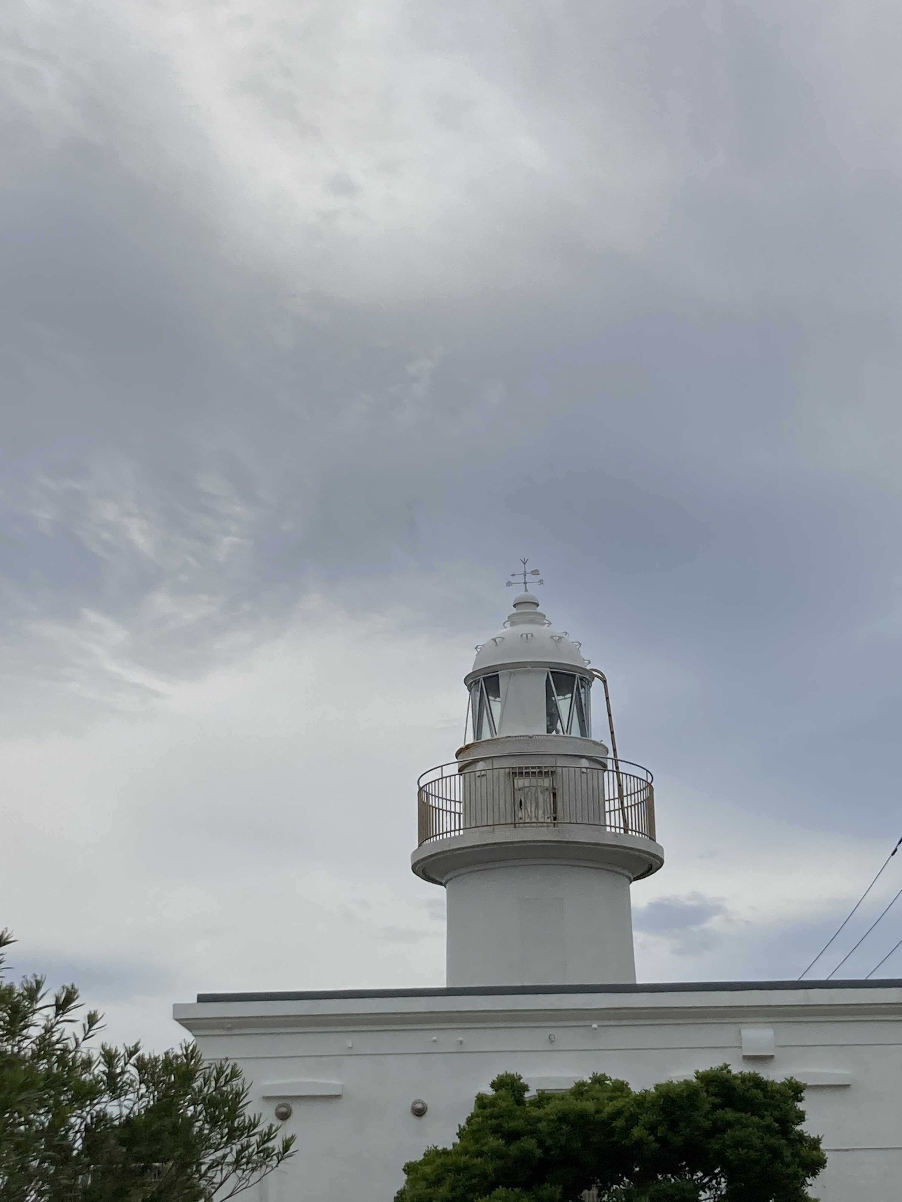 神奈川県 三浦半島 城ヶ島 水仙ロード じぇじぇ Note