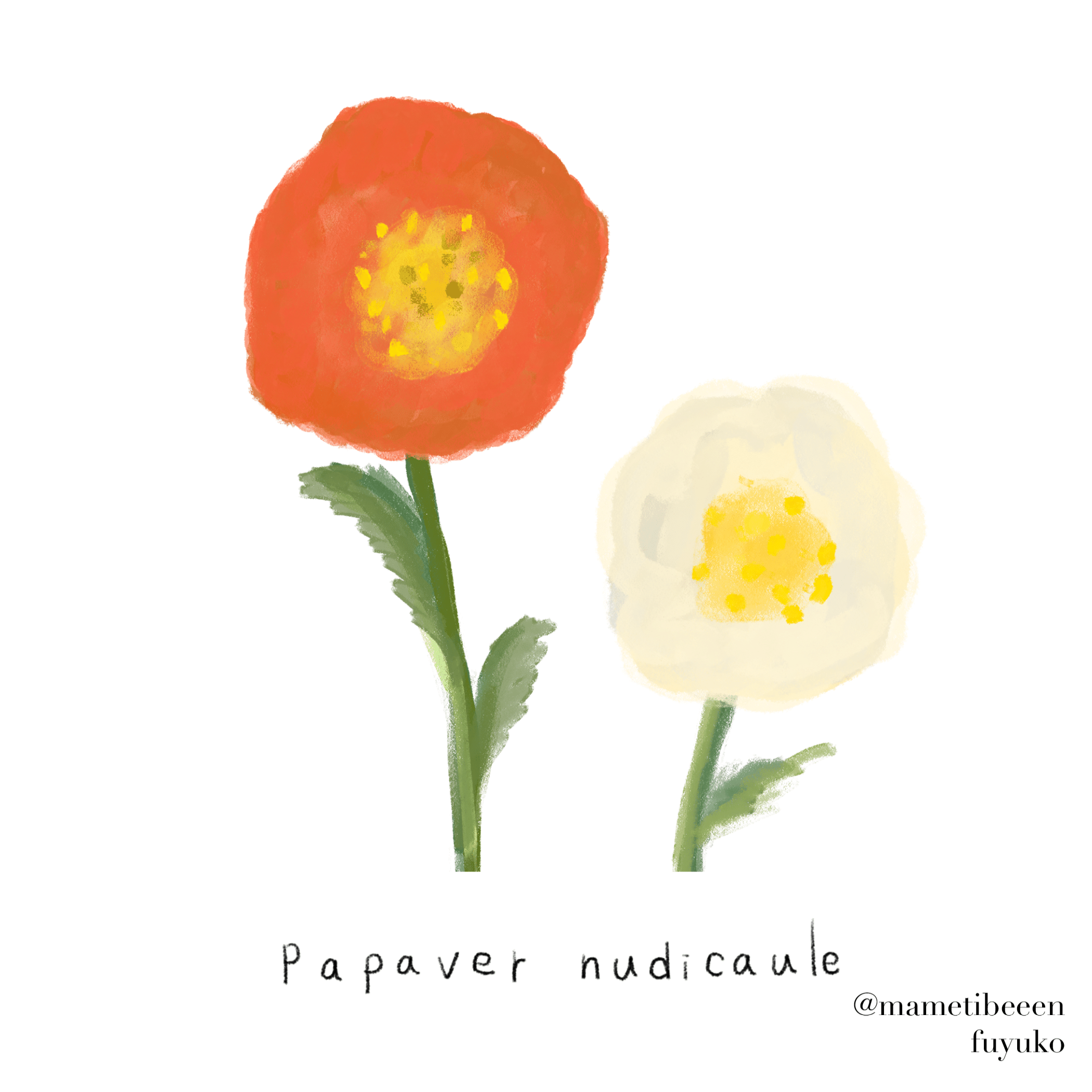 花 Fuyu イラストレーター 絵作家 Note