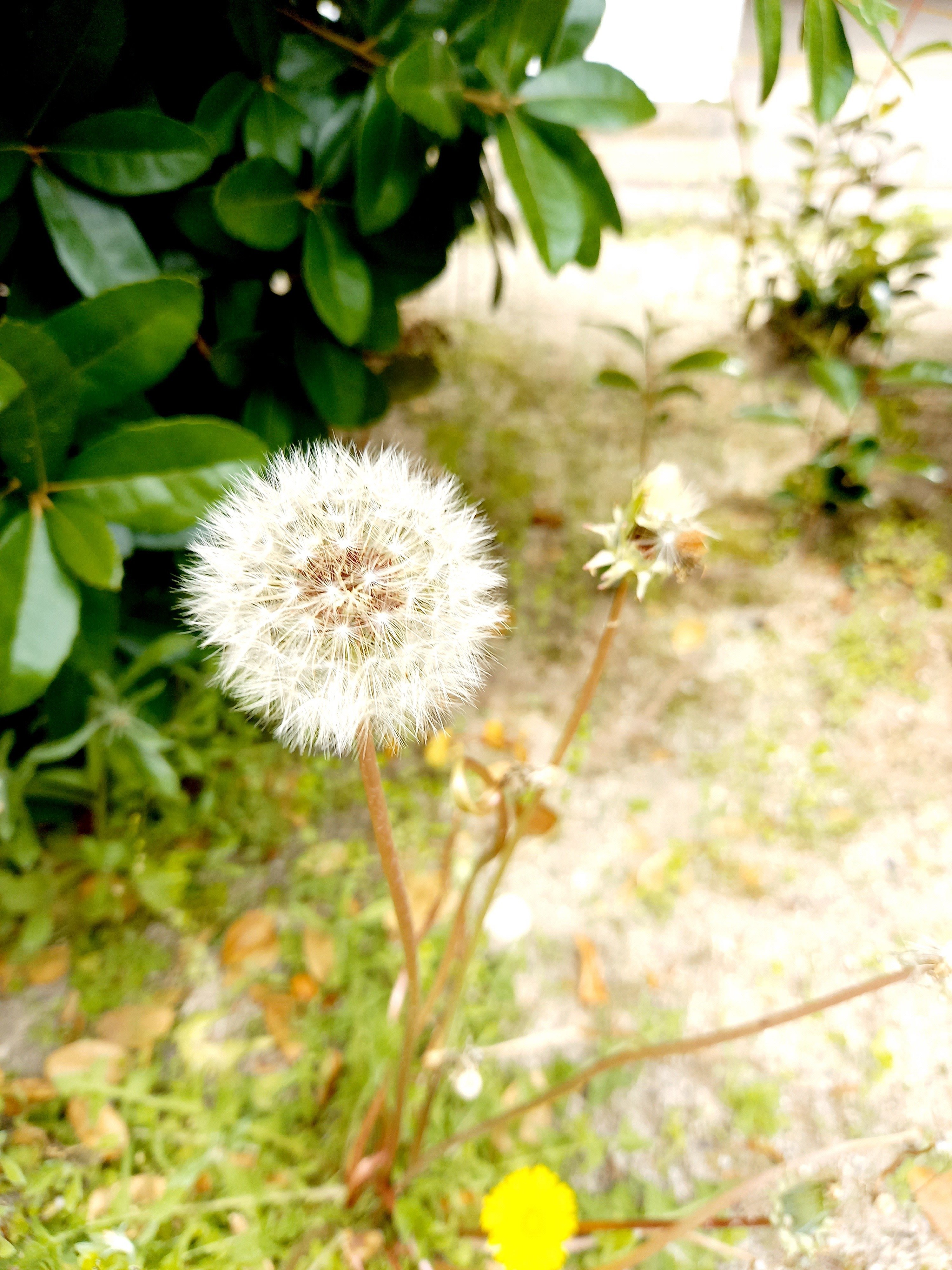 泣いていいんだよ かっちんさん Note