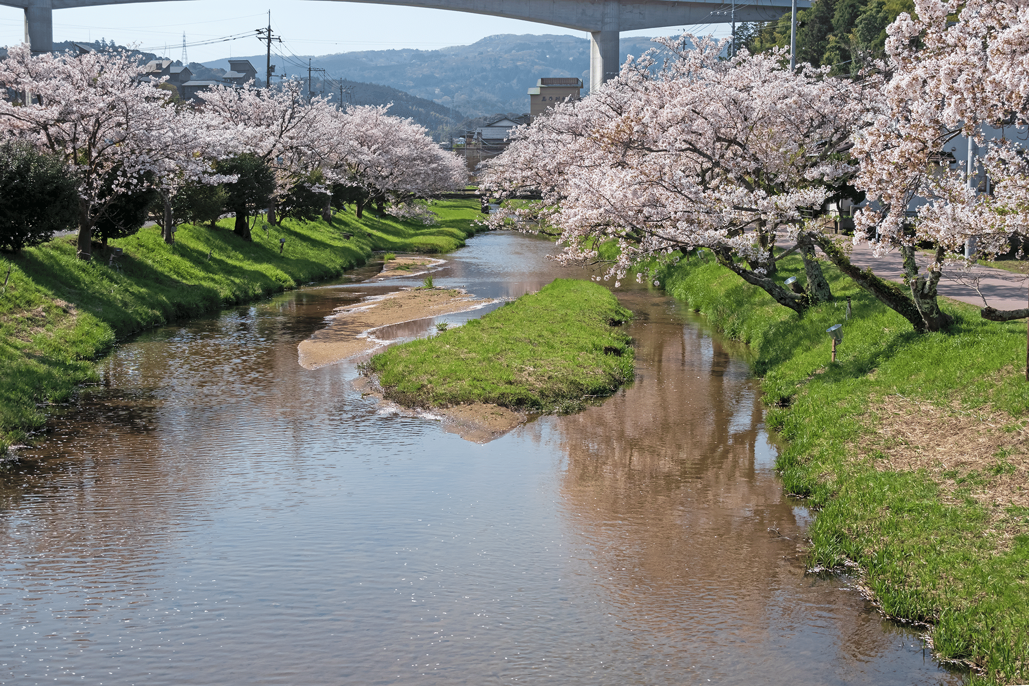 玉造温泉の桜 Keitaro Kitagaki Note