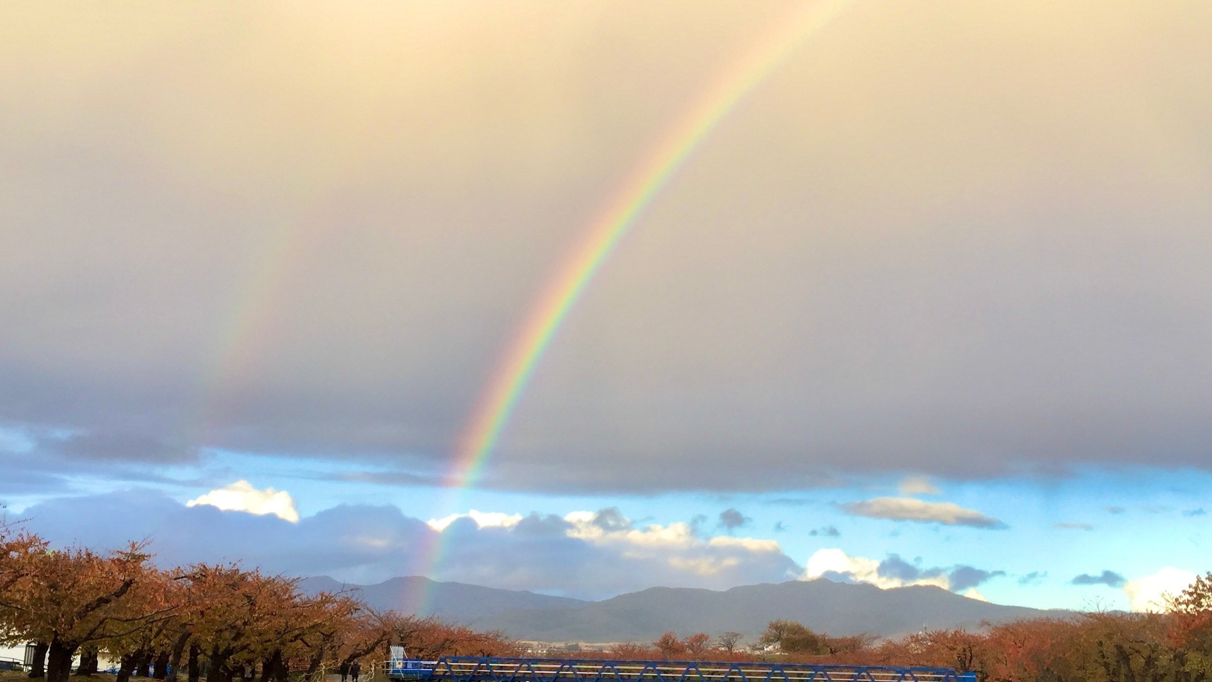ダブルレインボー トリコシ Note