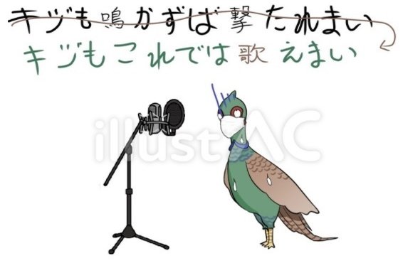 雉も鳴かずば撃たれまい の新着タグ記事一覧 Note つくる つながる とどける