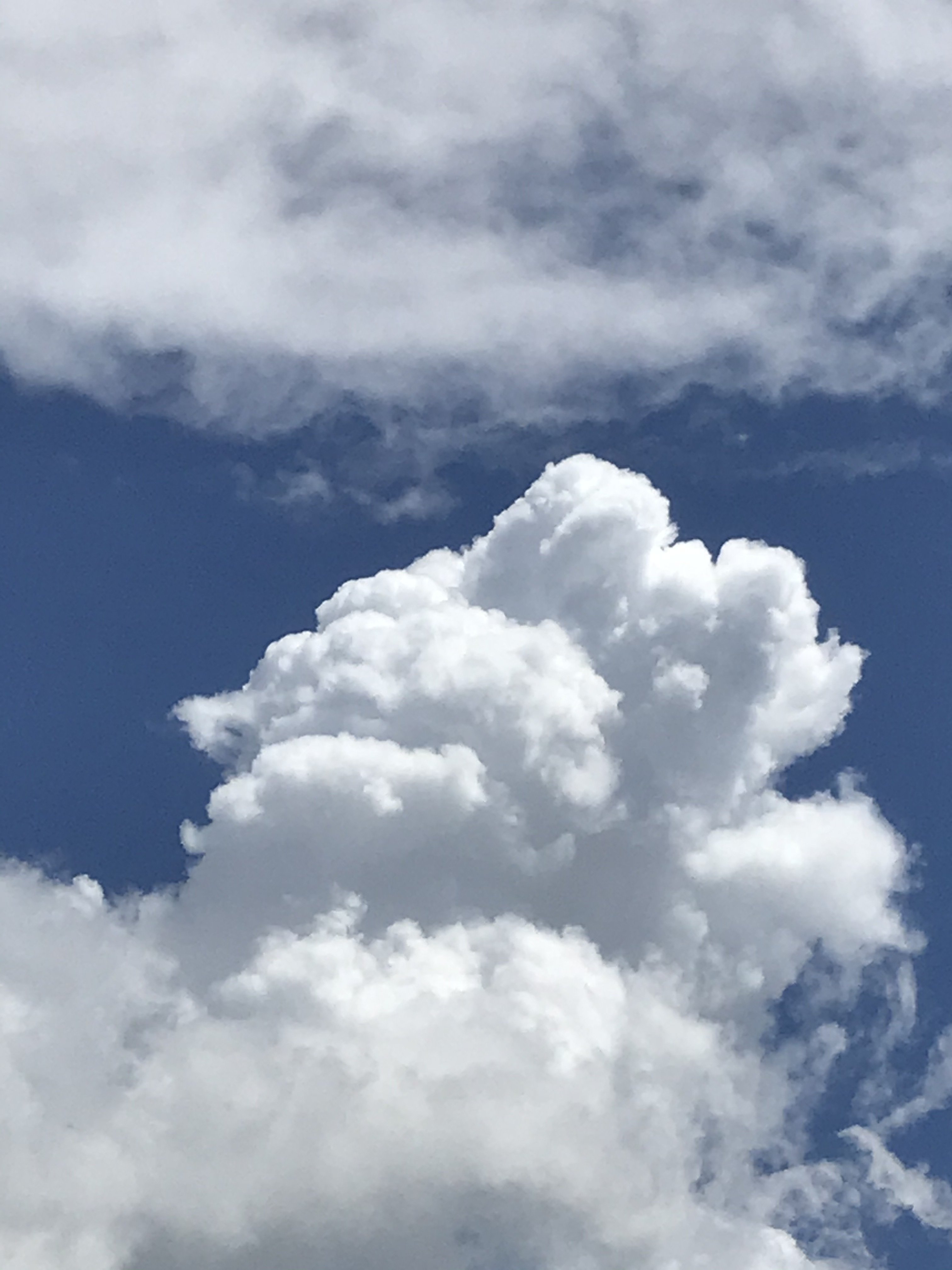 もくもく雲 Luna Note もくもく雲 Luna Note