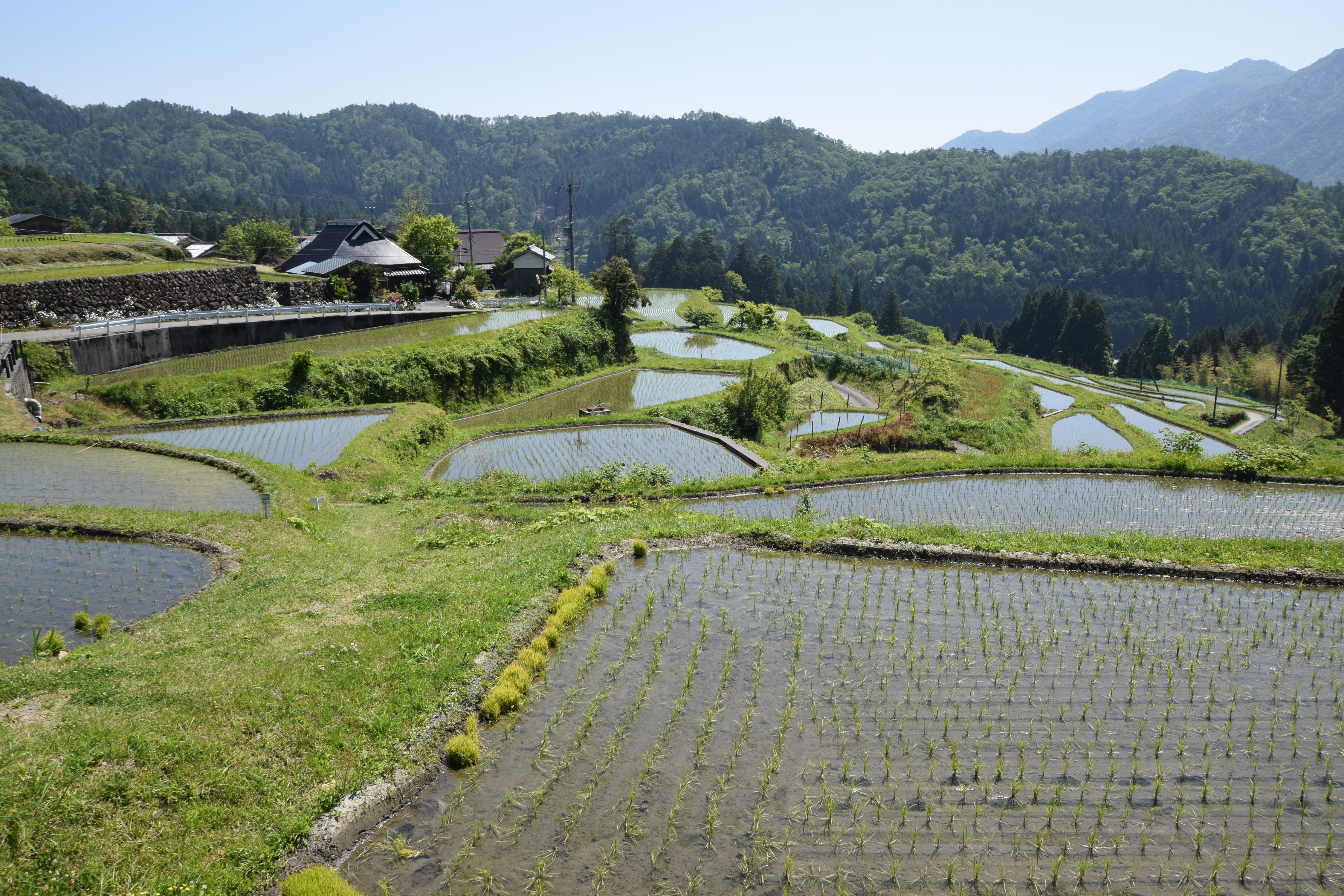 滋賀県 畑の棚田 日本の棚田百選 Photo Rice Terrace At Hata Of Shiga Prefecture 旅のカタログ Note