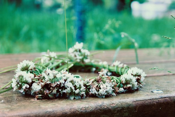 花かんむり の新着タグ記事一覧 Note つくる つながる とどける 花かんむり の新着タグ記事一覧 Note つくる つながる とどける