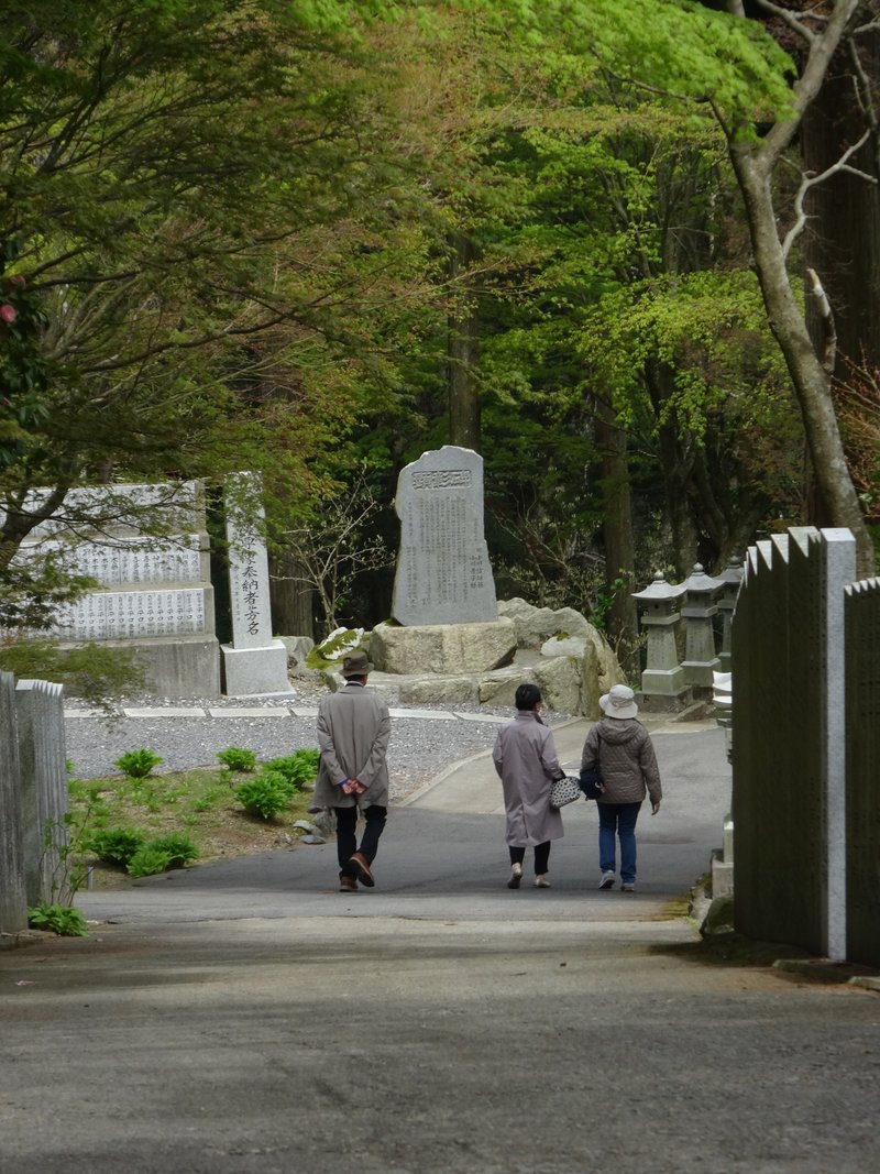 「また明日」流れる風はたゆたって過ぎゆく季節かすむ木漏れ日