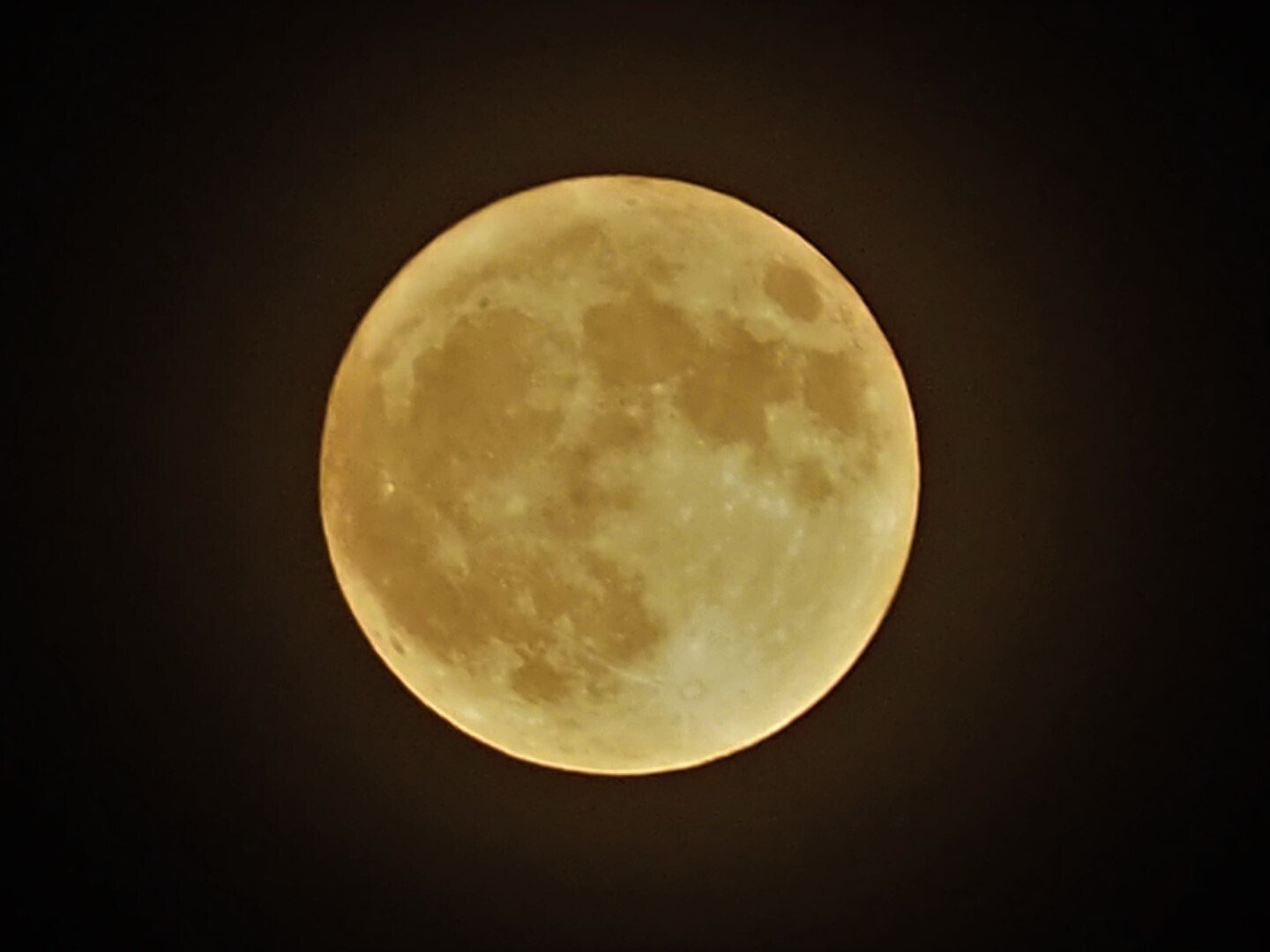 ２０２１年５月２６日 スーパ ム ン 皆既月食も見れちゃいます もんちゃん Note