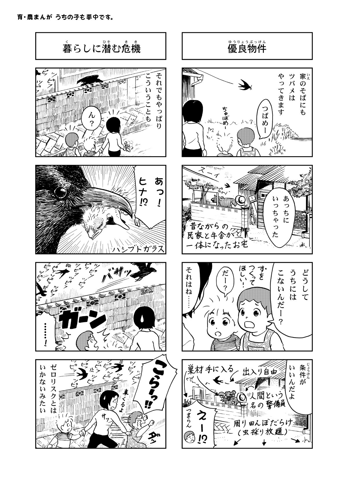 田舎でのツバメの子育てもなかなか大変みたいです うちの子も夢中です Note