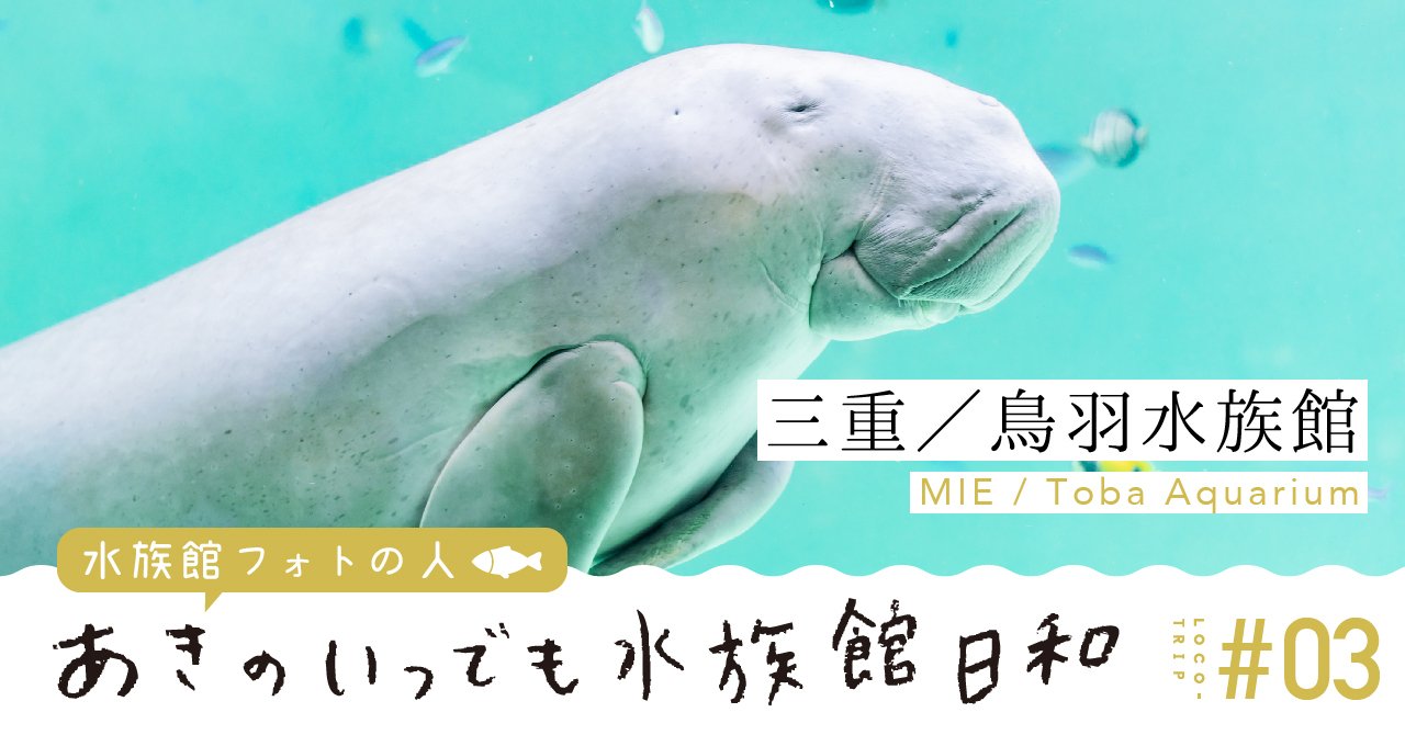 水族館フォトの人 あきのいつでも水族館日和 ３ 鳥羽水族館 Loco Mark Note