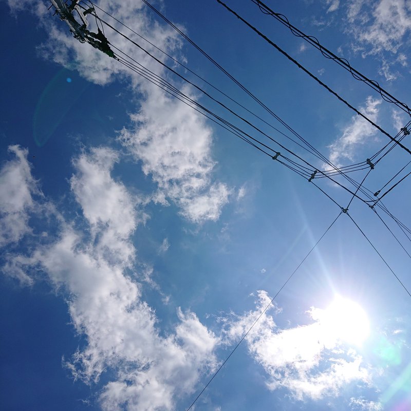 きれいな青空を撮ったつもりが、電線がこんなにたくさん写ってしまった。広い空を撮るのはとても難しいと、最近は思います。