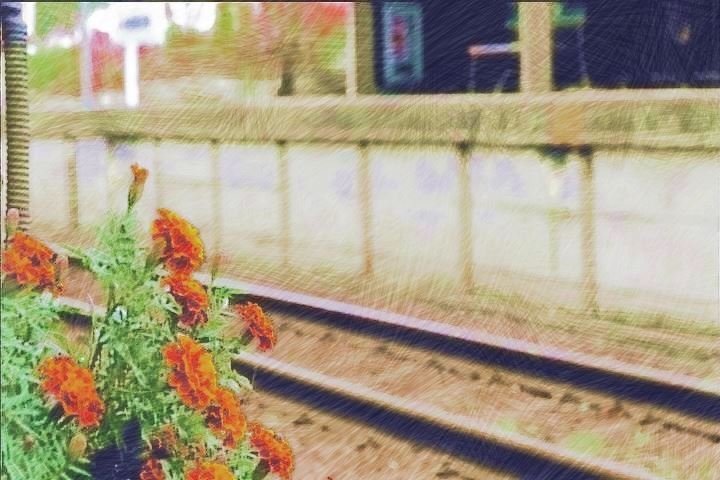 色鉛筆画像 流離人 Note