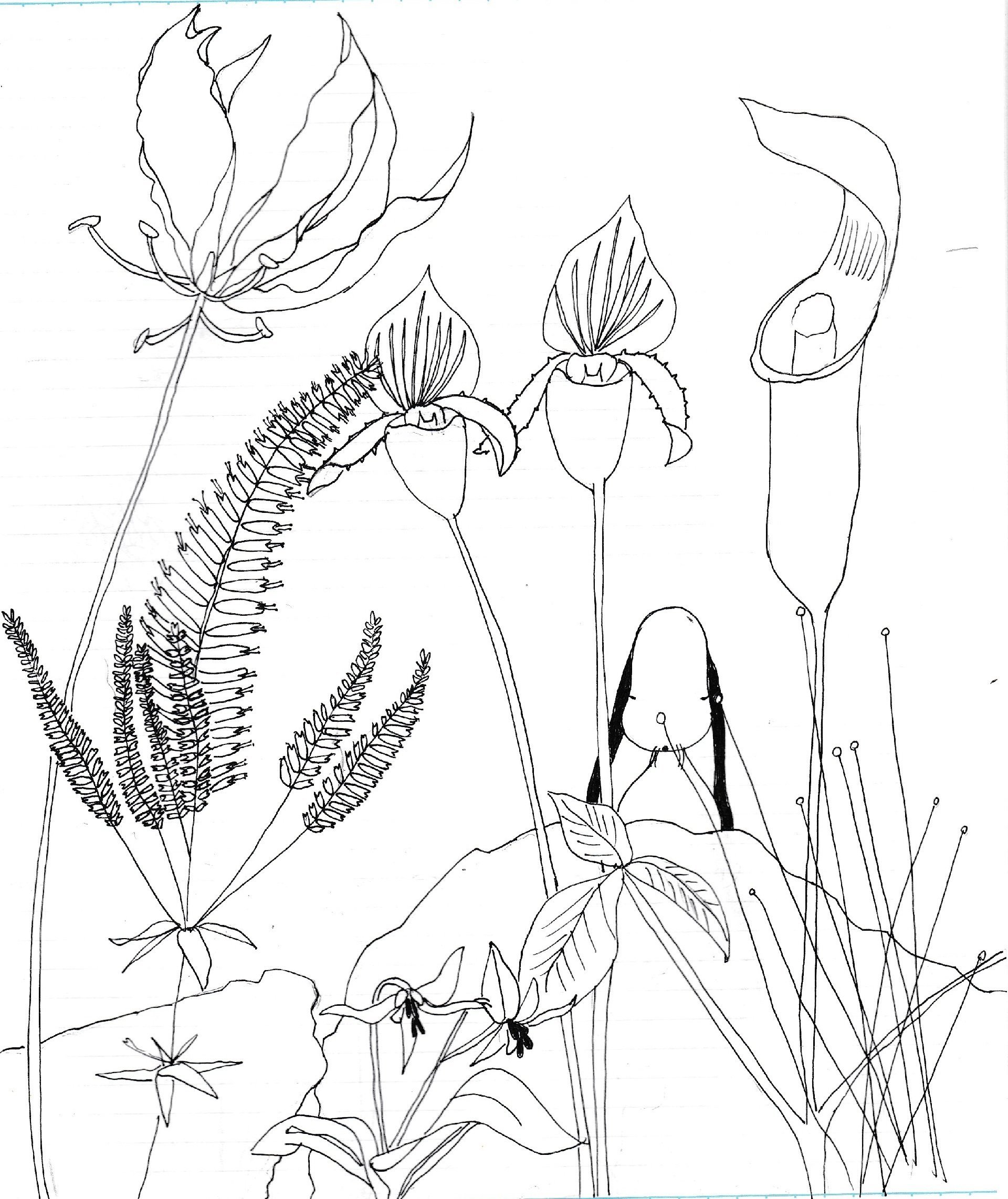 向こう側に咲く花 イラスト 犬のしっぽヤモリの手 Note