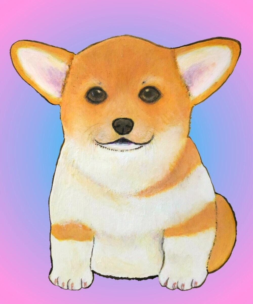 こちらを見つめるコーギーの子犬 Ao Note こちらを見つめるコーギーの子犬 Ao Note