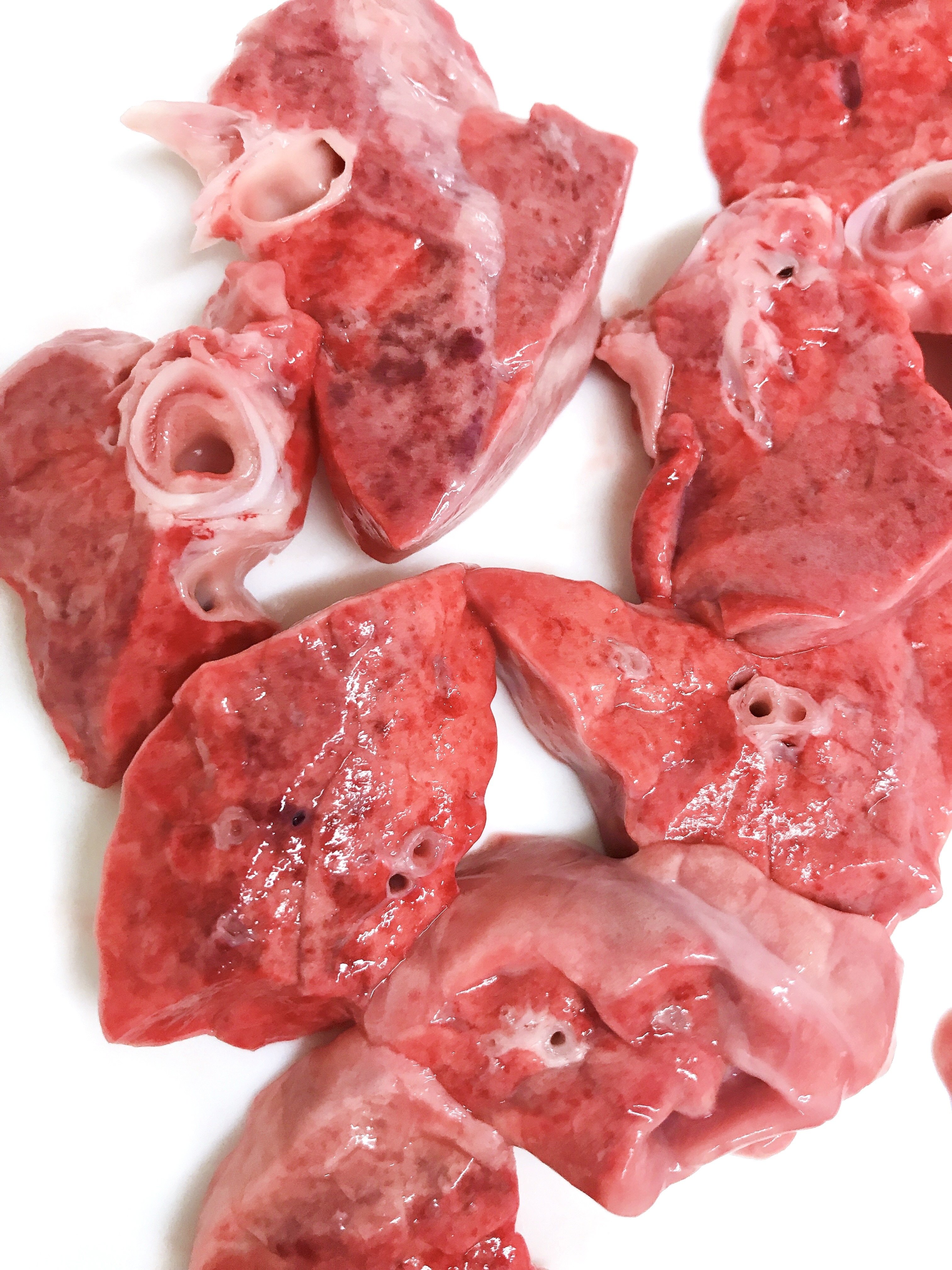 ホルモン図鑑 フワ 豚肺 ホルモンもい将 Note