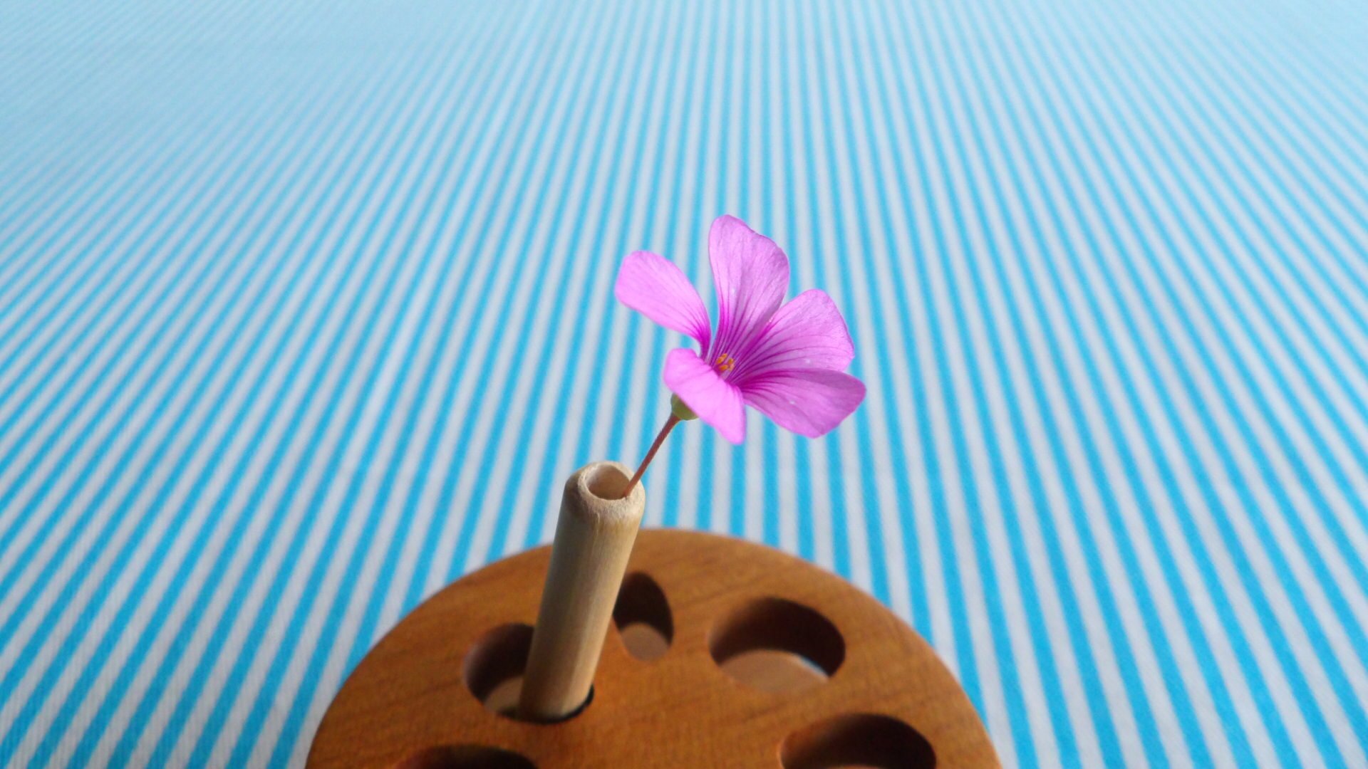 レンコン れんこんや Note