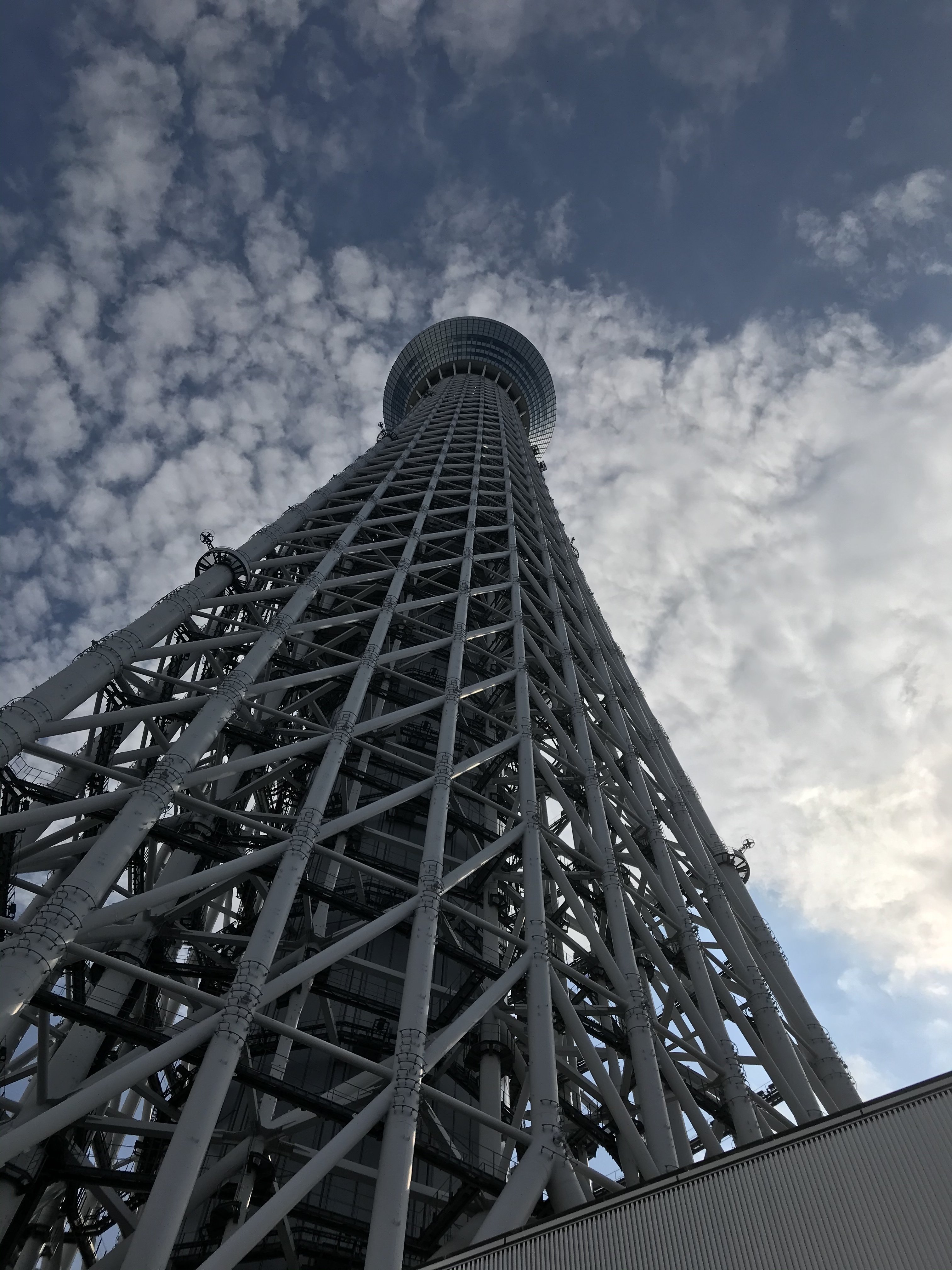 すみだ水族館を撮る〜心がユルむ空間〜｜おだ🍀ちえ｜note