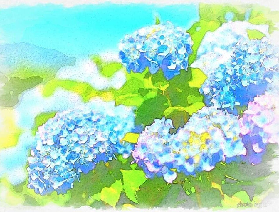 紫陽花のある風景 Tarbo Note 紫陽花のある風景 Tarbo Note