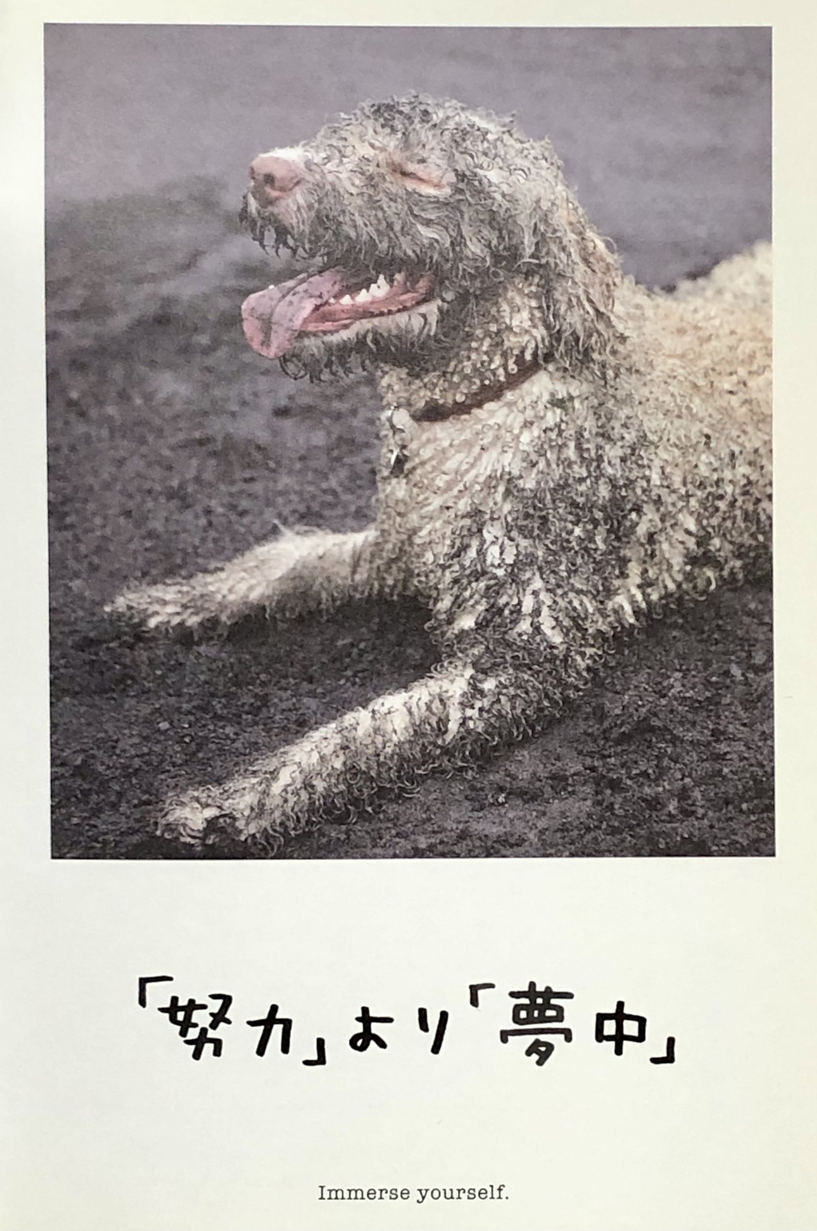 手元にある一冊 人生はワンチャンス からの一言 その12 New York 雑記帳 Ny のりこ Note