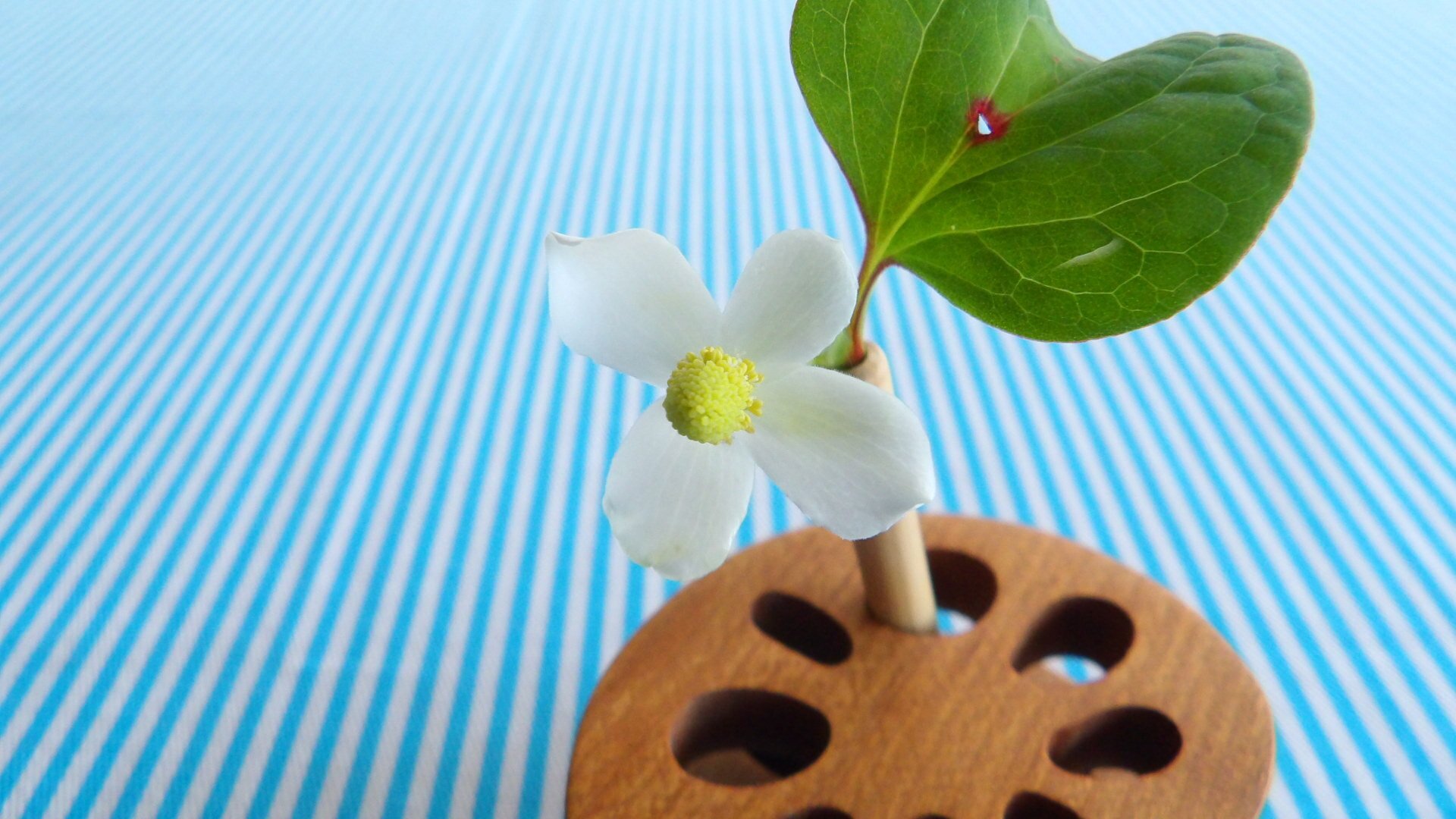 れんこんアート れんこんや Note