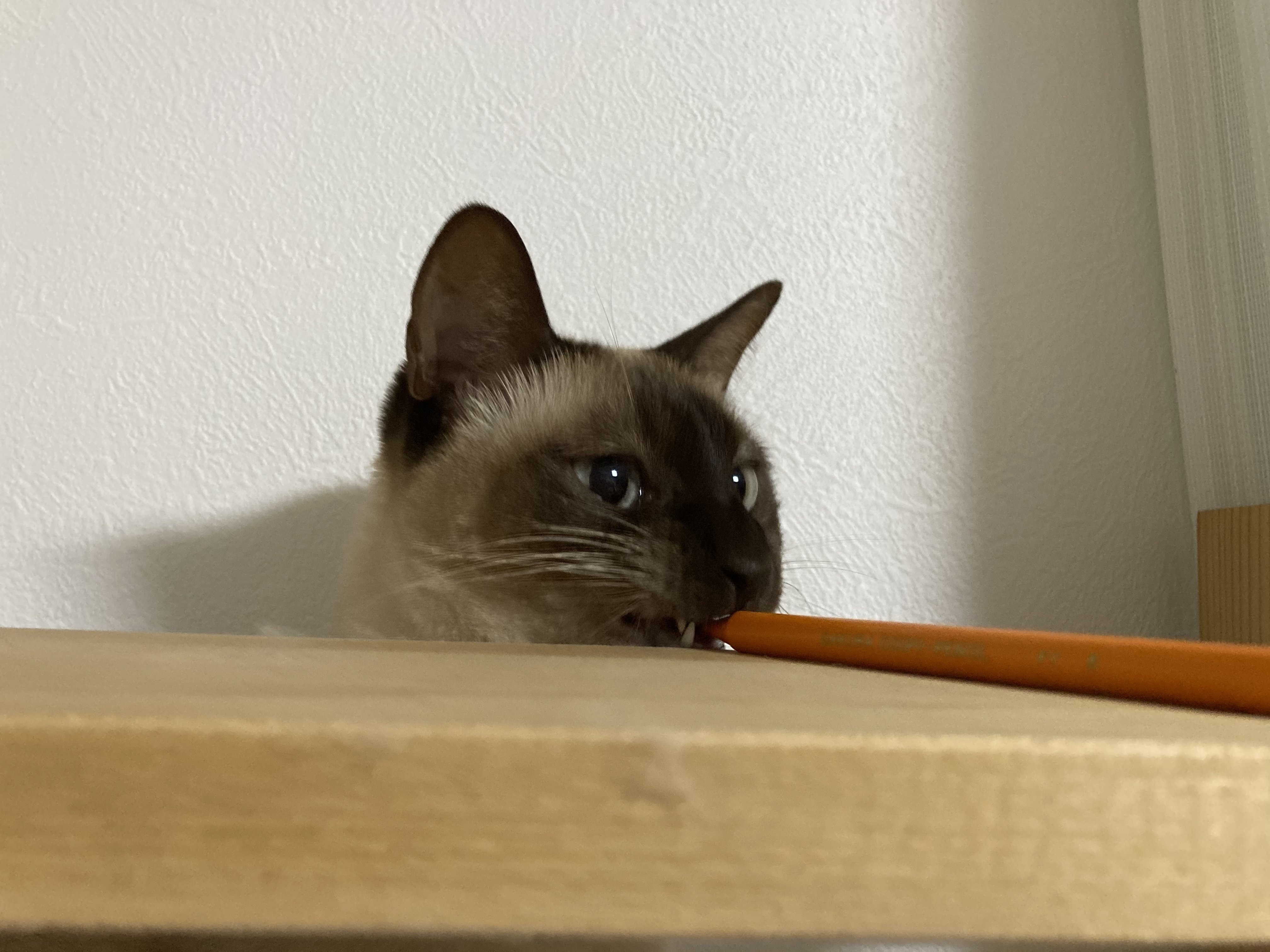 おはよう スピカ Note