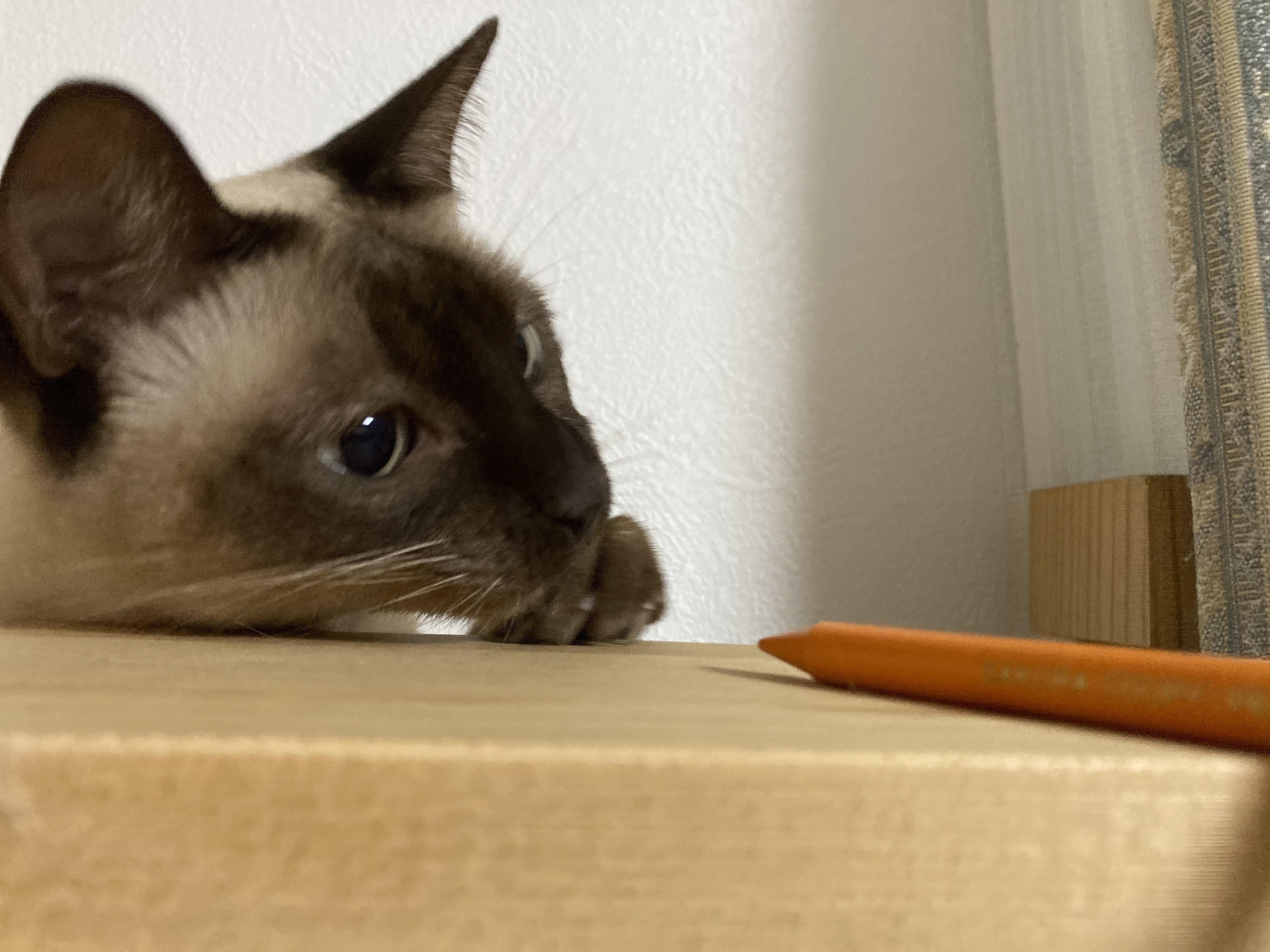 おはよう スピカ Note