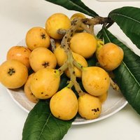 目覚めてる庶民さんが Tb Sスタッフに取材を受けたノーマスクに関するインタビュー文字起こし 本当に同じ気持ちです こうした草の根運動 庶民の素朴な想いが町に 地域に 中に広がりますように ヽ Lanamama Note 目覚めてる庶民さんが Tb Sスタッフに取材を受けたノーマスクに関するインタビュー文字起こし 本当に同じ気持ちです こうした草の根運動 庶民の素朴な想いが町に 地域に 中に広がりますように ヽ Lanamama Note