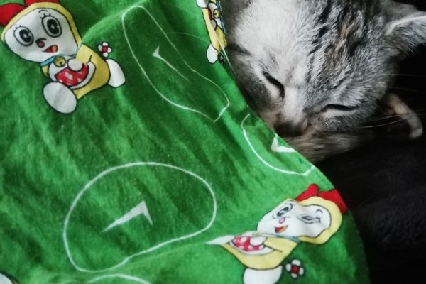 ドラミちゃん の新着タグ記事一覧 Note つくる つながる とどける ドラミちゃん の新着タグ記事一覧 Note つくる つながる とどける