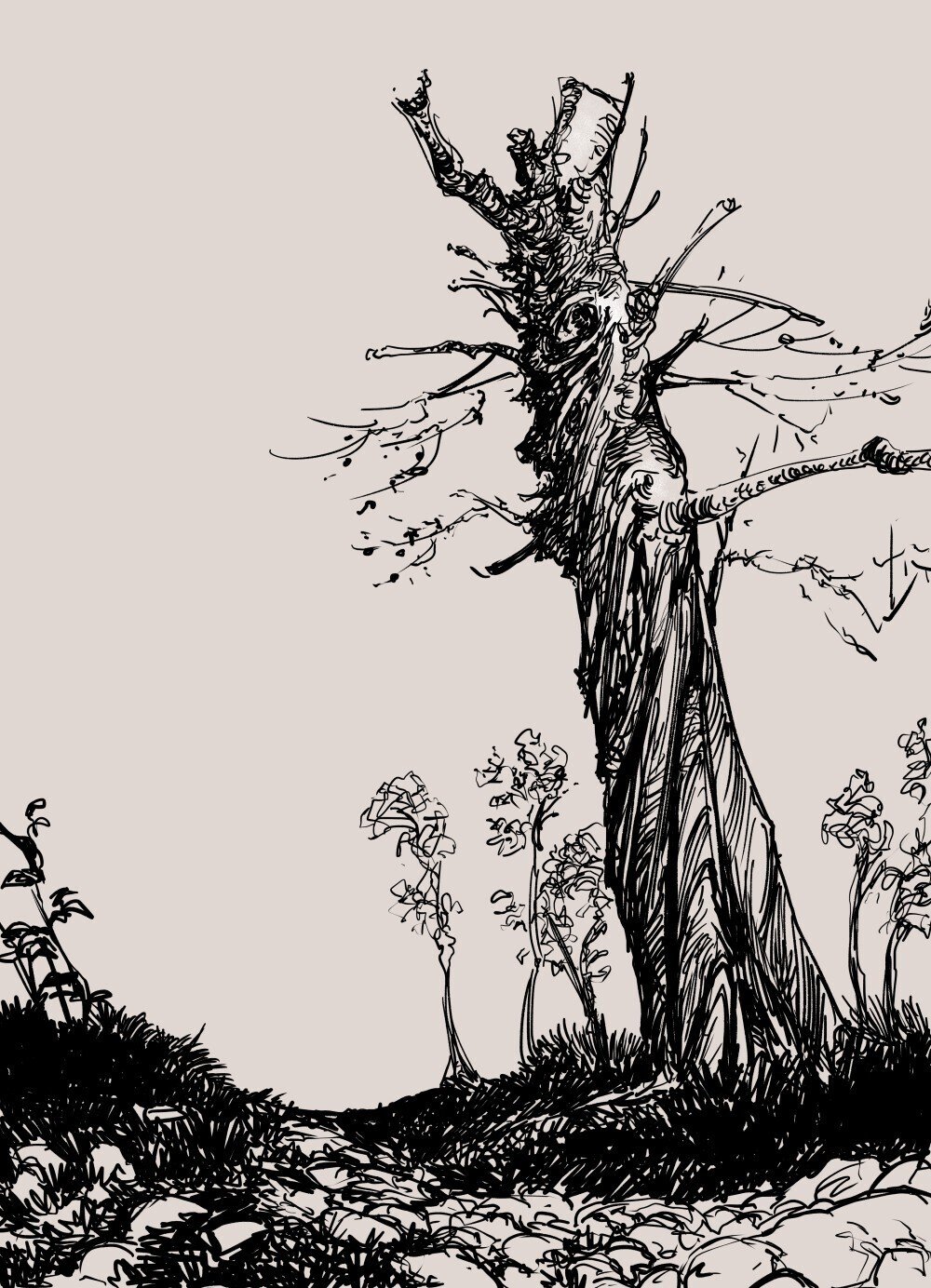 深夜 木づいたこと 梅熊大介 Note